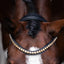 Lumiere Seline Bitless Bridle - Equine Horse Wear