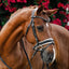 Lumiere Sibella Snaffle Bridle - Equine Horse Wear