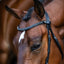 Lumiere Sienna Nosbeandless Bridle - Equine Horse Wear
