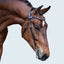 Lumiere Sienna Nosbeandless Bridle - Equine Horse Wear