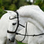 Lumiere Skyla Bitless Bridle - Equine Horse Wear