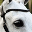 Lumiere Skyla Bitless Bridle - Equine Horse Wear