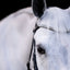 Lumiere Solitaire Crystal Browband - Equine Horse Wear
