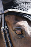 Lumiere Solitaire Crystal Browband - Equine Horse Wear