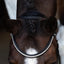 Lumiere Symphony Bitless Bridle - Equine Horse Wear