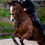 Lumiere Victory 3-Point Leather Breastplate - Equine Horse Wear