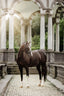 Lumiere Adeline Luxury Double Leather Bridle