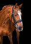 Lumiere Adeline Luxury Double Leather Bridle