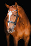 Lumiere Adeline Luxury Double Leather Bridle