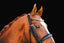 Lumiere Adeline Luxury Double Leather Bridle