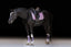 Lumiere Amie Luxury Double Leather Bridle