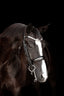 Lumiere Amie Luxury Double Leather Bridle
