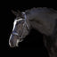 Lumiere Amie Luxury Double Leather Bridle