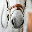 Lumiere Milan Convertible Leather Bridle