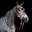 Lumiere Milan Convertible Leather Bridle