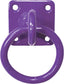 Perry Tie Out Ring - Equine Stable Equipment