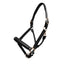 Platinum Leather Show Halter - Equine Horse Wear
