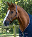 Premier Equine Airflow Cooler Rug - Equine Horse Wear