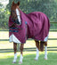 Premier Equine Akoni 0g Turnout Rug with Classic Neck Cover - Equine Horse Wear