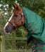 Premier Equine Akoni 0g Turnout Rug with Classic Neck Cover - Equine Horse Wear