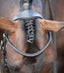 Premier Equine Anatomical Shaped Headpiece - Equine Horse Wear