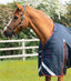 Premier Equine Buster 150g Turnout Rug with Classic Neck Cover - Equine Horse Wear