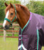 Premier Equine Buster 200g Turnout Rug with Snug-Fit Neck Cover - Equine Horse Wear