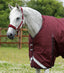 Premier Equine Buster 400g Turnout Rug with Snug-Fit Neck Cover - Equine Horse Wear