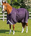 Premier Equine Buster 70g Turnout Rug with Classic Neck Cover - Equine Horse Wear
