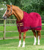 Premier Equine Buster Fleece Cooler Rug - Continental Edition - Equine Horse Wear