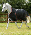 Premier Equine Buster Hardy 100g Half Neck Turnout Rug - Equine Horse Wear