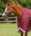 Premier Equine Buster Zero Turnout Rug with Classic Neck Cover - Equine Horse Wear