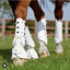 Premier Equine Carbon Tech Air Cooled Eventing Boots - Equine Horse Wear