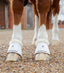 Premier Equine Carbon Tech Techno Wool Over Reach Boots - Equine Horse Wear