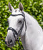 Premier Equine Cassano Snaffle Bridle Black - Equine Horse Wear