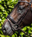 Premier Equine Cheek Pieces (Pair) - Equine Horse Wear