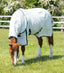 Premier Equine Combo Cotton Sheet - Equine Horse Wear