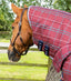 Premier Equine Domus 200g Combo Stable Rug - Equine Horse Wear