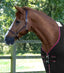Premier Equine Dry-Tech Horse Cooler Rug - Equine Horse Wear