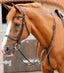 Premier Equine Fuscaldo Running Martingale - Equine Horse Wear