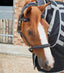 Premier Equine Magni-Teque Magnetic Browband - Equine Horse Wear