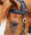 Premier Equine Magni-Teque Magnetic Browband - Equine Horse Wear