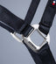 Premier Equine Plain Padded Horse Head Collar - Equine Horse Wear