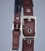 Premier Equine Plain Padded Horse Head Collar - Equine Horse Wear