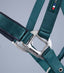 Premier Equine Plain Padded Horse Head Collar - Equine Horse Wear