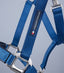 Premier Equine Plain Padded Horse Head Collar - Equine Horse Wear