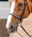 Premier Equine Primo Hunter Cavesson Noseband - Equine Horse Wear