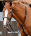 Premier Equine Santadi Adjustable Running Martingale - Equine Horse Wear