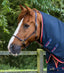 Premier Equine Stable Buster 100g Stable Rug with Neck Cover - Equine Horse Wear