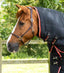 Premier Equine Stable Buster 200g Stable Rug with Neck Cover - Equine Horse Wear